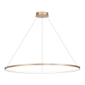 LED lysekrone på kabel SATURNO LED/65W/230V Ø 120 cm IP44 guld