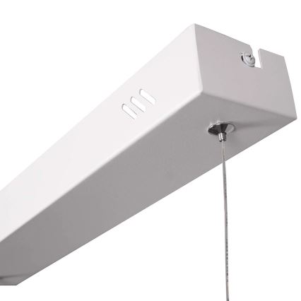 LED lysekrone på wire BERNADETTA LED/20W/230V 4000K hvid