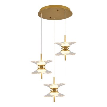 LED-lysekrone på wire BUTTERFLY 6xLED/5W/230V 3000K guld