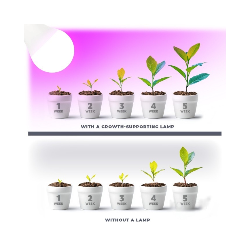 LED lyspære til plantevækst PLANTY E27/11W/230V 1200K hvid