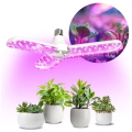 LED Lyspære til plantevækst PLANTY E27/24W/230V 1200K