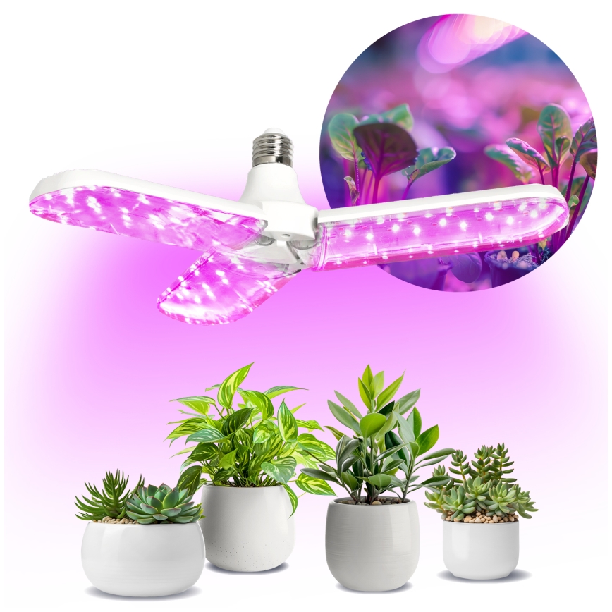LED Lyspære til plantevækst PLANTY E27/24W/230V 1200K