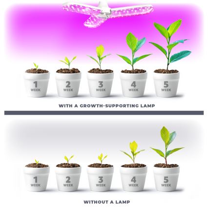 LED Lyspære til plantevækst PLANTY E27/24W/230V 1200K
