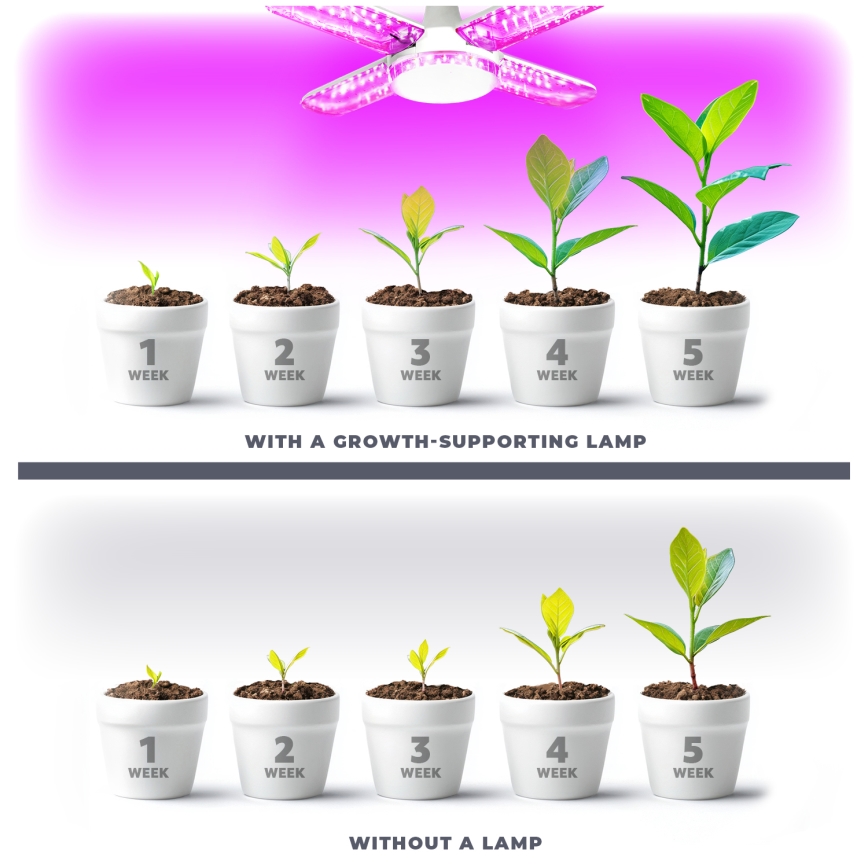 LED Lyspære til plantevækst PLANTY E27/40W/230V 1200K