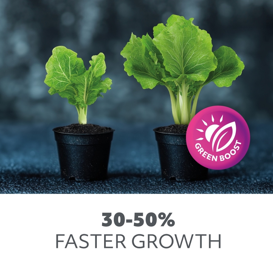 LED Lyspære til plantevækst PLANTY E27/40W/230V 1200K