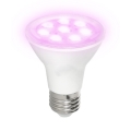 LED lyspære til plantevækst PLANTY E27/7W/230V 1200K hvid