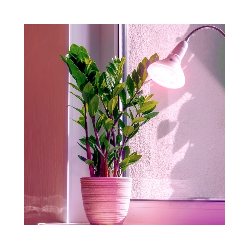 LED lyspære til plantevækst PLANTY E27/7W/230V 1200K hvid