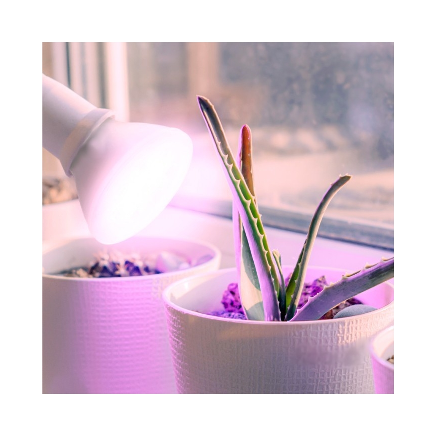 LED lyspære til plantevækst PLANTY E27/7W/230V 1200K hvid