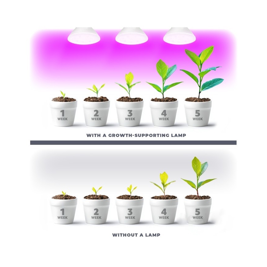 LED lyspære til plantevækst PLANTY E27/7W/230V 1200K hvid