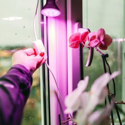 LED lyspære til plantevækst PLANTY E27/7W/230V 1200K sort
