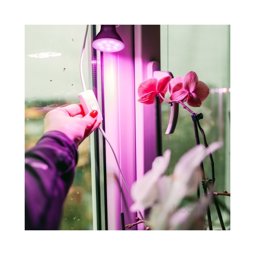 LED lyspære til plantevækst PLANTY E27/7W/230V 1200K sort