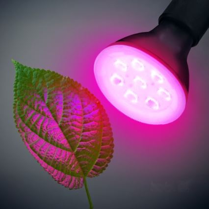LED lyspære til plantevækst PLANTY E27/7W/230V 1200K sort