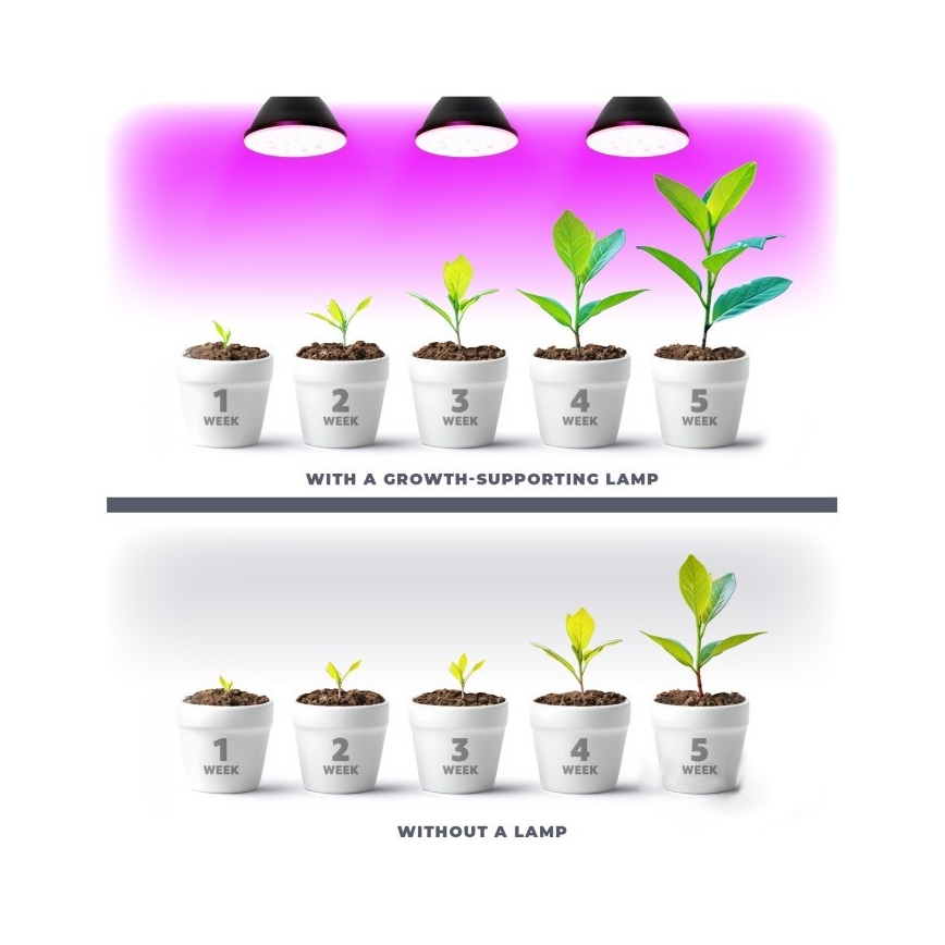 LED lyspære til plantevækst PLANTY E27/7W/230V 1200K sort