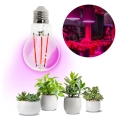 LED Lyspære til plantevækst PLANTY E27/8W/230V 1200K