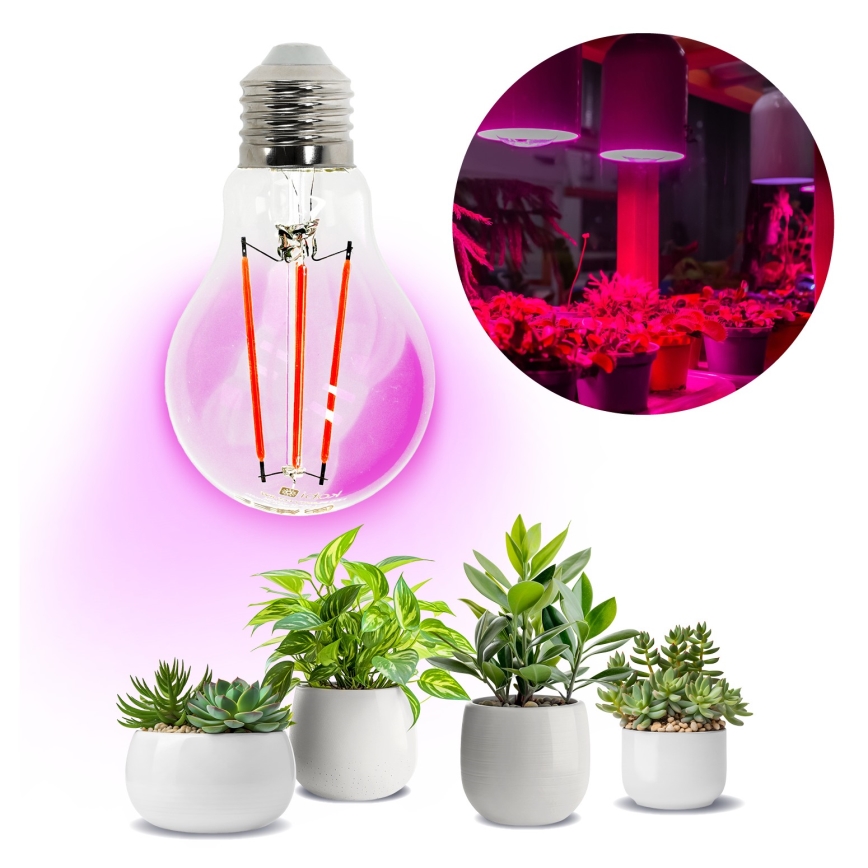 LED Lyspære til plantevækst PLANTY E27/8W/230V 1200K