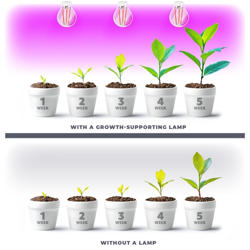 LED Lyspære til plantevækst PLANTY E27/8W/230V 1200K