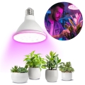 LED Lyspære til plantevækst PLANTY E27/9W/230V 1200K hvid