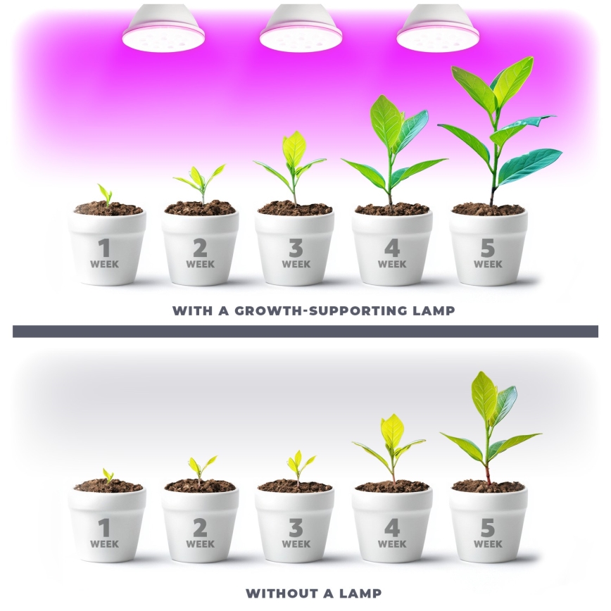 LED Lyspære til plantevækst PLANTY E27/9W/230V 1200K hvid