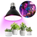 LED Lyspære til plantevækst PLANTY E27/9W/230V 1200K sort