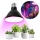 LED Lyspære til plantevækst VITABLOOM E27/9W/230V 1200K sort - Brilagi