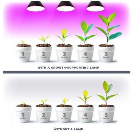 LED Lyspære til plantevækst VITABLOOM E27/9W/230V 1200K sort - Brilagi