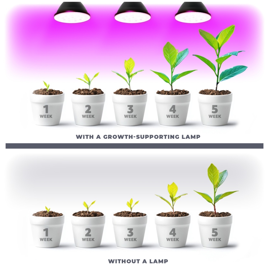 LED Lyspære til plantevækst VITABLOOM E27/9W/230V 1200K sort - Brilagi