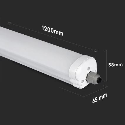 LED lysstofrør G-SERIES LED/36W/230V 4500K 120 cm IP65