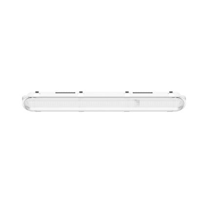 LED lysstofrør LIMEA GIGANT PRO LED/12/21W/230V 4000K IK10 IP66 60 cm