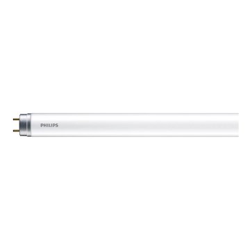 LED lysstofrør Philips T8 G13/16W/230V 6500K 120 cm