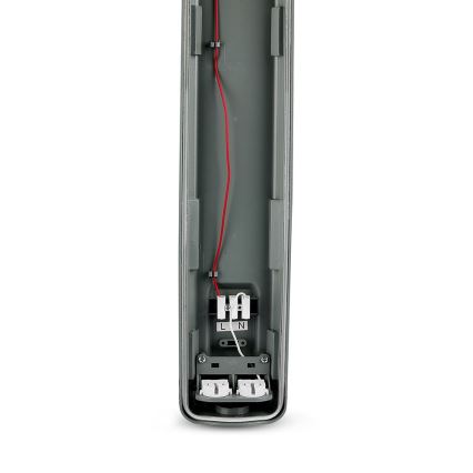 LED lysstofrør T8 2xG13/22W/230V IP65 6400K 156 cm