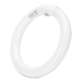 LED lysstofrør T9 G24q-1/22W/230V 6500K - Aigostar