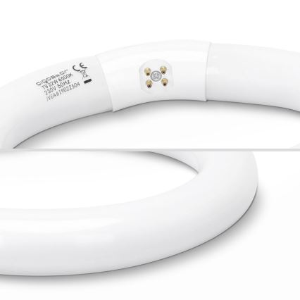 LED lysstofrør T9 G24q-1/22W/230V 6500K - Aigostar