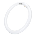 LED lysstofrør T9 G24q-1/32W/230V 6500K - Aigostar