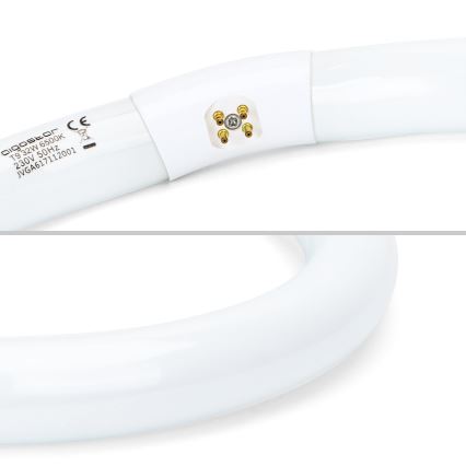 LED lysstofrør T9 G24q-1/32W/230V 6500K - Aigostar