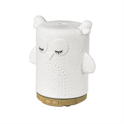 LED m. RGBW-farver Aromadiffuser LED/8W/230V 100 ml ugle