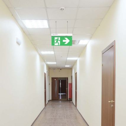 LED nødlampe EMERGENCY EXIT LED/2,5W/230V 04.01.2001 6000K