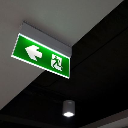 LED nødlampe EMERGENCY EXIT LED/2,5W/230V 04.01.2001 6000K