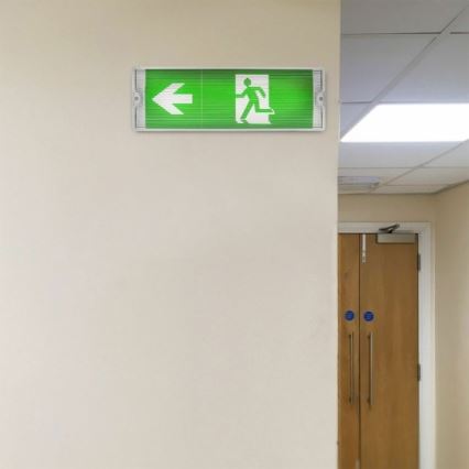 LED nødlampe EMERGENCY EXIT LED/3W/230V 6400K IP65