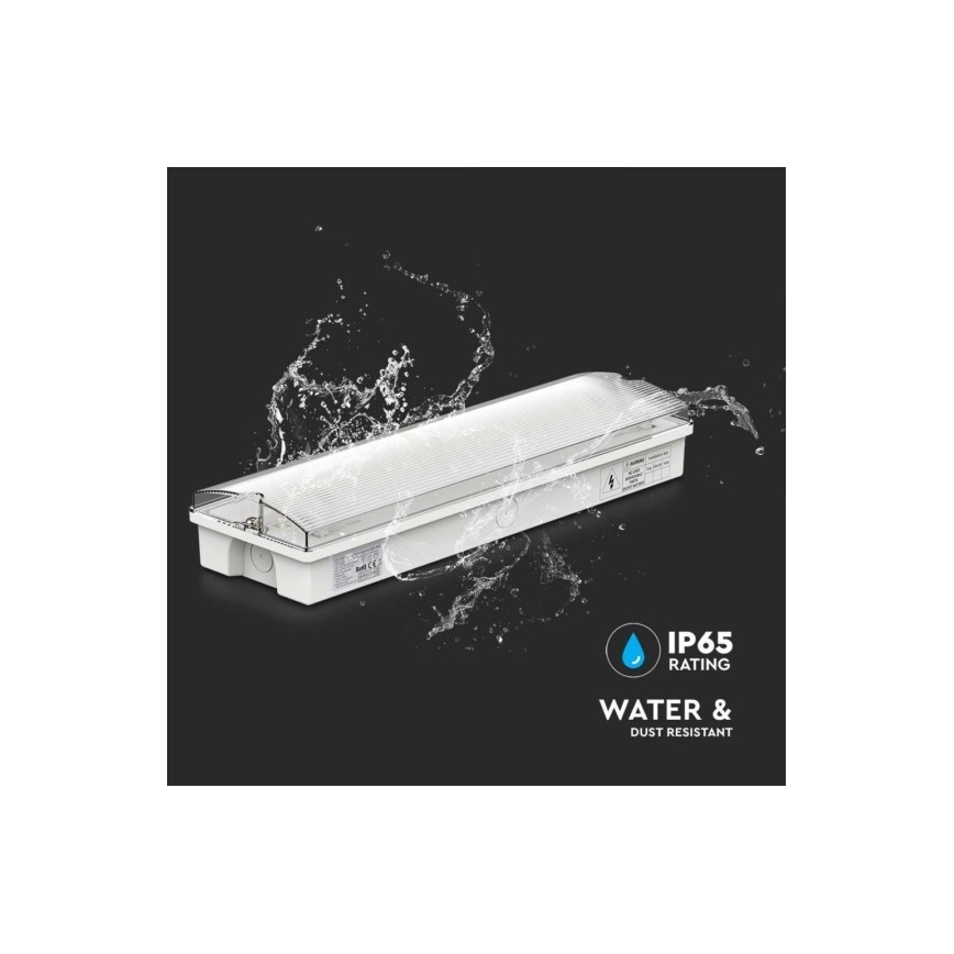 LED nødlampe EMERGENCY EXIT LED/3W/230V 6400K IP65