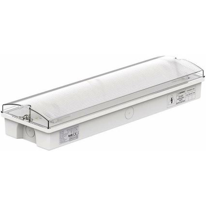 LED nødlampe med en almindelig funktionstest EMERGENCY EXIT LED/3W/230V 6400K IP65