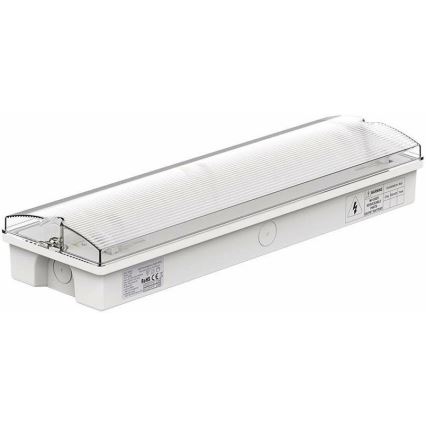 LED nødlampe med en almindelig funktionstest EMERGENCY EXIT LED/3W/230V 6400K IP65