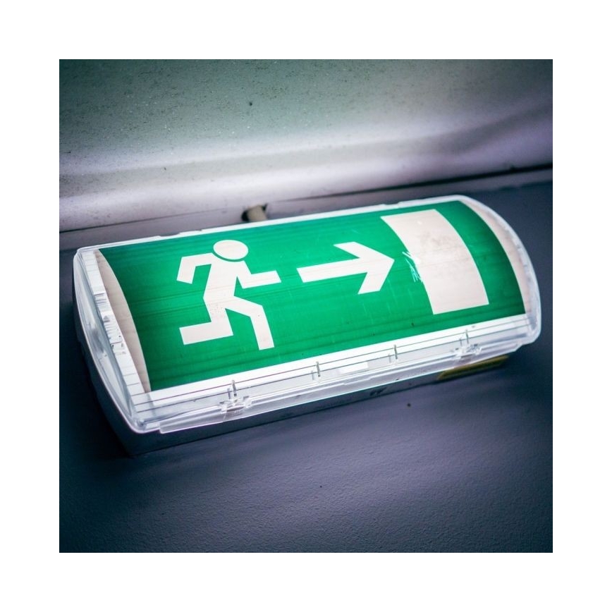LED nødlampe EMERGENCY EXIT LED/3W/230V IP65 6000K 1200mAh