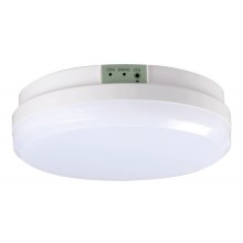 LED nødlampe GLORION LED/15W/230V IP65