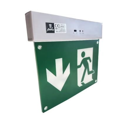 LED nødlampe LED/2W/230V 6000K 300 mAh