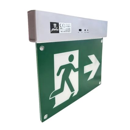LED nødlampe LED/2W/230V 6000K 300 mAh