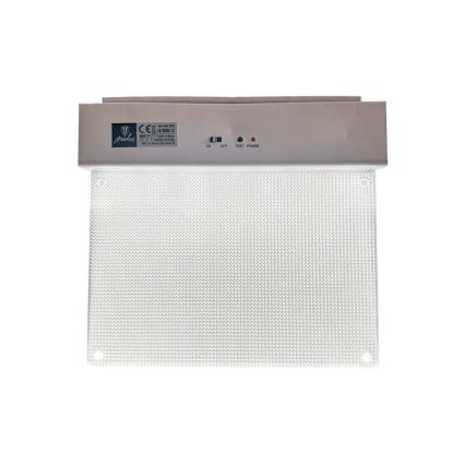 LED nødlampe LED/2W/230V 6000K 300 mAh