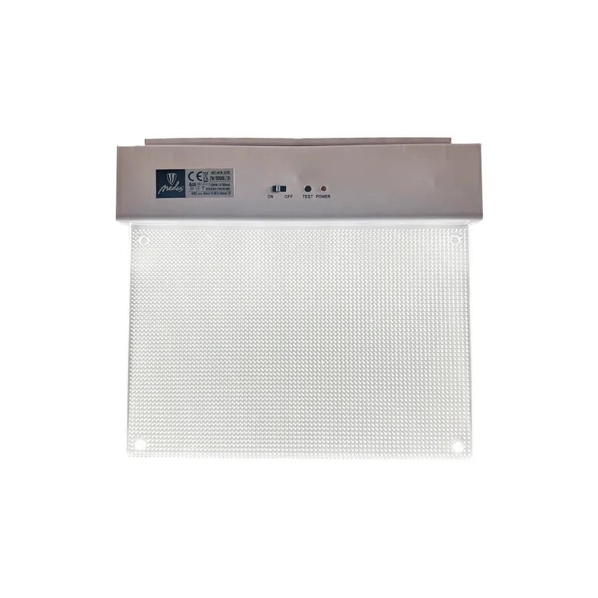 LED nødlampe LED/2W/230V 6000K 300 mAh