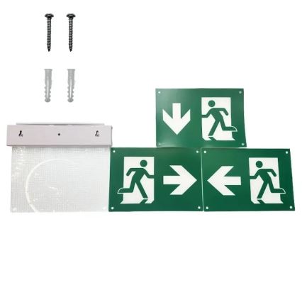 LED nødlampe LED/2W/230V 6000K 300 mAh