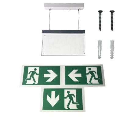 LED nødlampe LED/4W/230V 6000K 1000 mAh