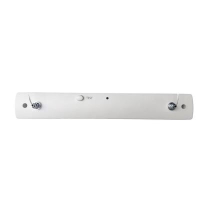 LED nødlampe LED/4W/230V 6000K 1000 mAh